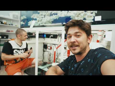 Видео: Монтаж оборудования морского аквариума. Royalexclusiv, Profilux и @nikolasvr79