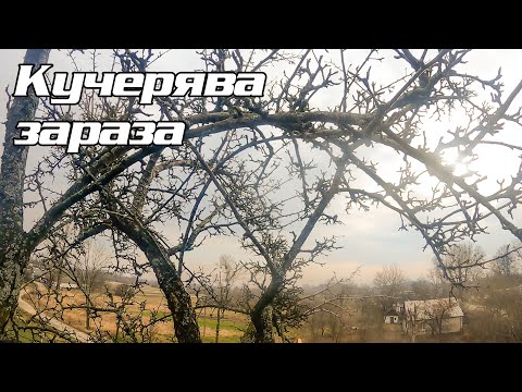 Видео: Груша в дротах у підписниці