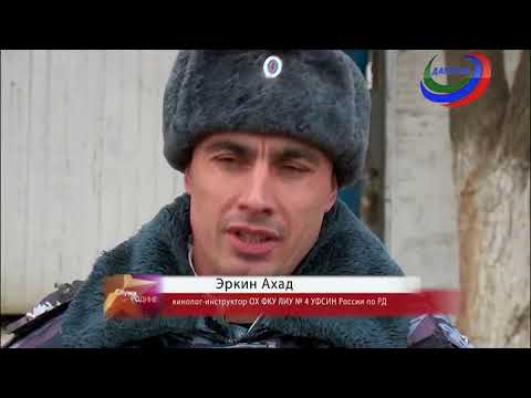 Видео: Служа Родине