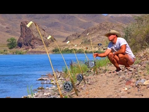 Видео: РЫБАЛКА КАК В ДЕТСТВЕ. ЖИВОПИСНЫЕ МЕСТА. Сазаны, белые амуры, раки, змея.