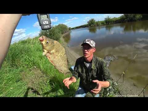 Видео: Караси богатыри из глубокой ямы Рыбалка мечта.