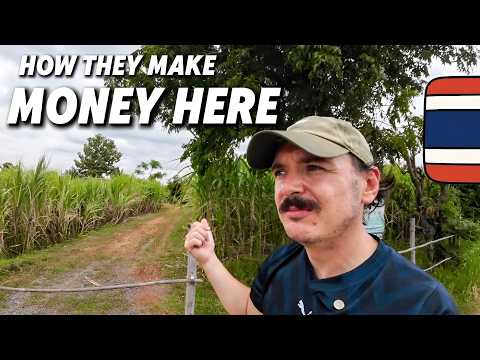 Видео: Как люди зарабатывают на жизнь в сельской местности Таиланда 🇹🇭