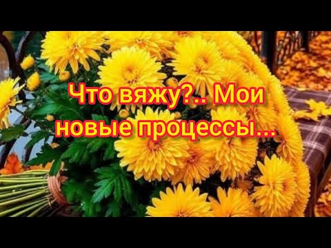 Видео: Вязание. 🍁🧶 ЧТО ВЯЖУ?.. Мои новые процессы.🤔🍂