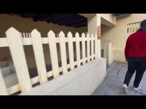 Видео: Каир. Путешествие по Нилу. Фараонова деревня.