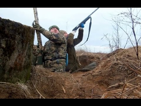 Видео: Goose Hunting. Охота  на гусей - 15 марта 2016г. ч.1
