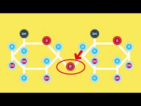 Видео: Көмірсулардың жіктелуі. Конденсация реакциясы.