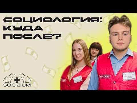 Видео: Социолог: куда ему идти работать?