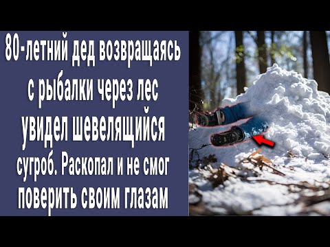 Видео: 80-летний дед возвращаясь с рыбалки увидел шевелящийся сугроб. Раскопал снег и потерял дар речи
