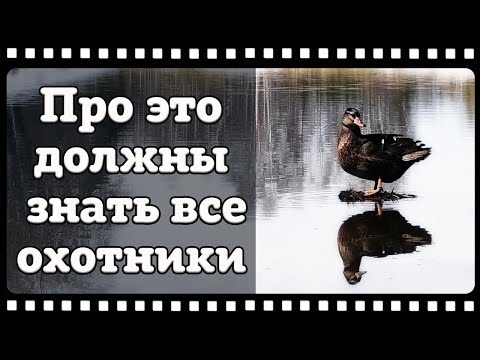 Видео: Подсадная утка или как не потерять уникальное наследие нашей страны.