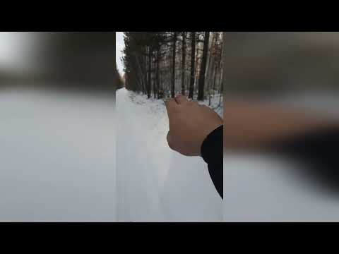 Видео: поймал 45го волка