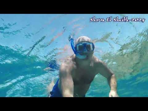 Видео: Красное Море, Египет