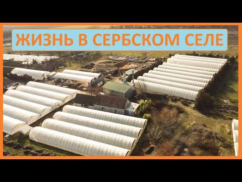 Видео: Тута вам не это! Обзор сербского села.