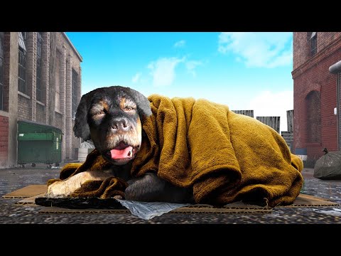 Видео: БОМЖ ЧОП 2 СЕРИЯ (GTA V)