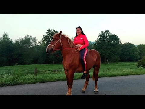 Видео: 📢🤯Вершниця Наталя♠️👍 продала Талісмана💪 на Вінничину с. Піщанка🚛🛞💰