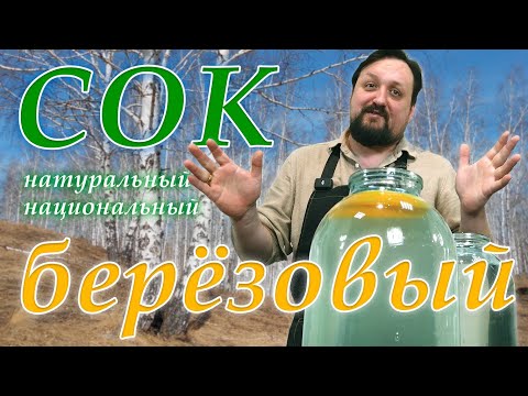 Видео: Берёзовый сок впрок