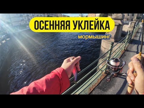 Видео: #мормышинг | Ловим уклейку на Невских каналах | Graphiteleader Bellezza GLABS-602SXUL |