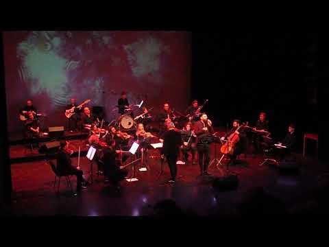 Видео: Македонско девојче -Мики Секуловски и Камерен оркестар на Битола