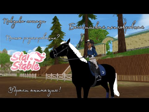 Видео: Бельгийская теплокровная/Разочаровали?/Покупка лошади/Star Stable Online