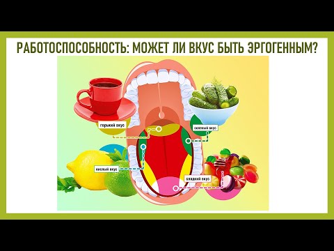Видео: РАБОТОСПОСОБНОСТЬ: МОЖЕТ ЛИ ВКУС БЫТЬ ЭРГОГЕННЫМ?