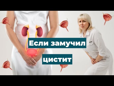 Видео: Если замучил цистит.  Когда цистит - тогда Цистон. Доктор Лисенкова