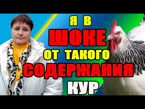 Видео: Я в ШОКЕ от такого содержания кур. Как НЕЛЬЗЯ содержать кур и цыплят.