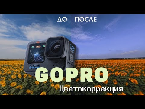 Видео: GOPRO best COLOR CORRECTION + preset | Лучшая цветокоррекция для вашей GOPRO