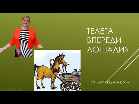 Видео: Замуж за иностранца, как не запрячь телегу впереди лошади?// С любовью из Флориды