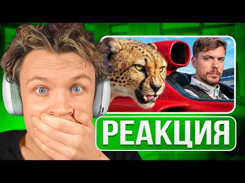 Видео: КРАНЧ СМОТРИТ ▶ Самая Быстрая Машина в Мире vs Гепард!! (реакция)