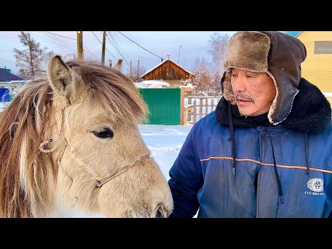 Видео: Почему упала Якутская Лошадь ?