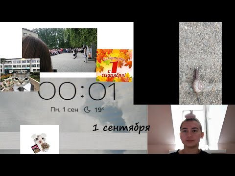 Видео: влог с 1 сентября