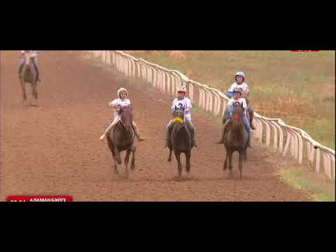 Видео: Аламан бәйге БӘЙГЕДЕН ҚАЗАҚСТАН ЧЕМПИОНАТЫ