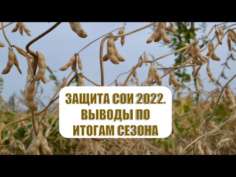 Видео: Защита сои 2022. Топ-5 вредных организмов, методы борьбы, основные ошибки.
