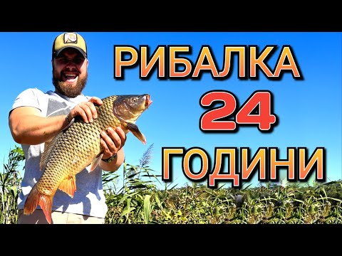 Видео: Перша карпова рибалка! Скільки коштує фідерна рибалка на карпа !?