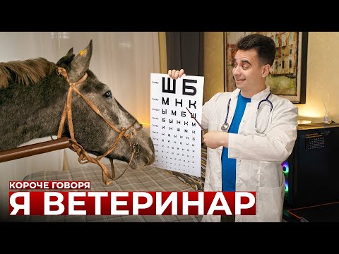 Видео: КОРОЧЕ ГОВОРЯ, Я ВЕТЕРИНАР