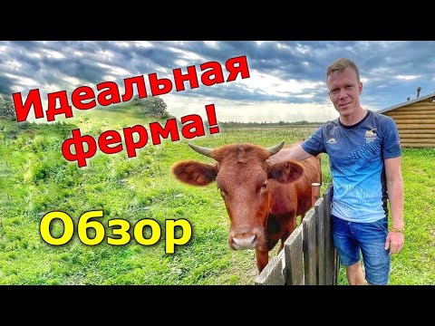 Видео: Покупаем фермерское хозяйство. Обзор фермы.