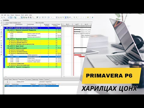Видео: Primavera P6 программын харилцах цонхны танилцуулга 