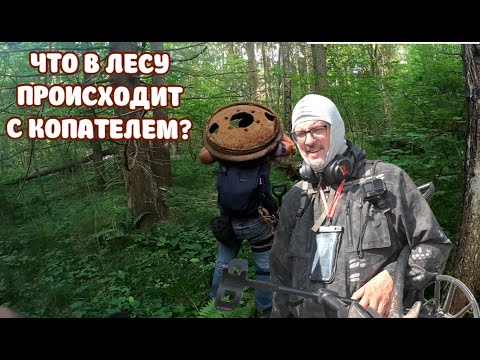 Видео: ЧТО ПРОИСХОДИТ В ЛЕСУ С КОПАТЕЛЯМИ?