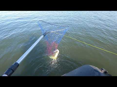 Видео: Поставил кружки (жерлицы)  на Енисее.