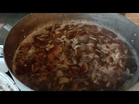 Видео: #89# Выкопали картошку, сходили в лес за грибами, подготовили землю к зиме Заготовки овощей на зиму