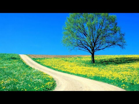 Видео: Просмотр и корректировка дороги. Эффекты для мозга.