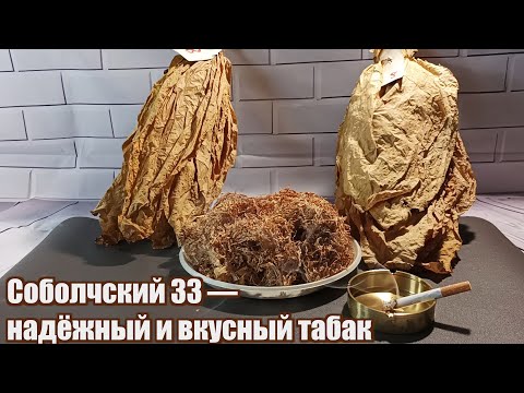 Видео: Соболчский 33 интересный скелетный сорт табака. Обзор