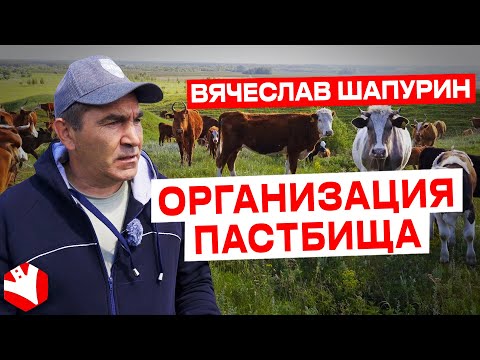 Видео: Организация пастбища | Мясное животноводство