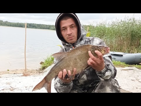 Видео: ЛОВЛЯ КРУПНОГО ЛЕЩА НА РЕЗИНКУ!!Рыбалка в АВГУСТЕ 2022