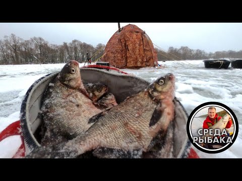 Видео: Зимняя рыбалка с НОЧЕВКОЙ на Можайском водохранилище | Ловля ПОДЛЕЩИКА зимой | 2021