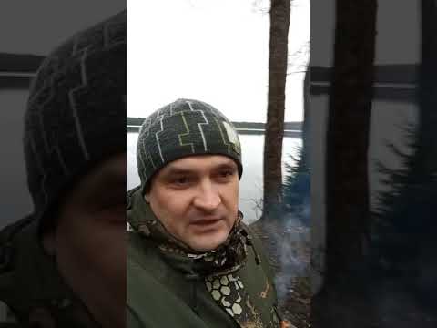 Видео: Рыбалка на Сарженском озере.