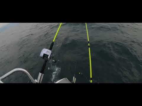 Видео: Троллинг на Симу, Приморский край, Находка .Заряжаем снасти.