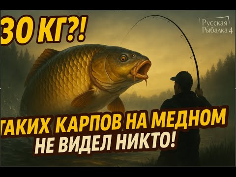 Видео: Фармим медное с переходом на Ухтуба! Live - t.me/RR4Chicken