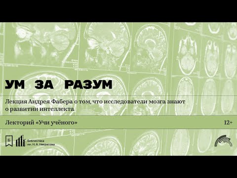 Видео: «Ум за разум». Лекция Андрея Фабера о том, что исследователи мозга знают о развитии интеллекта