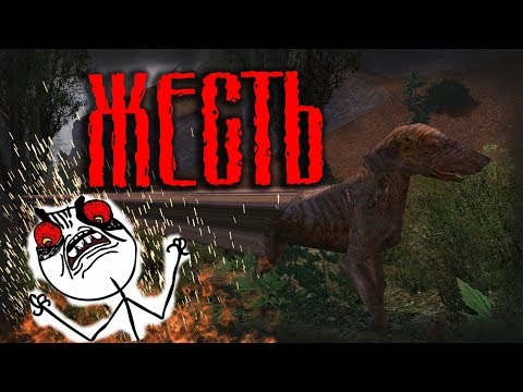 Видео: Классика моддинга S.T.A.L.K.E.R. Жесть