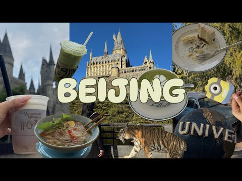 Видео: ✨Beijing Vlog✨ Universal studio,Beijing zoo,Foodie | Бээжин Юниверсал Студи, Амьтны хүрээлэн